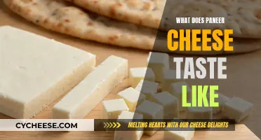 The Taste of Paneer Cheese: A Beginner's Guide