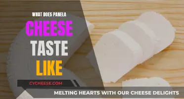 The Unique Taste of Panela Cheese Explained
