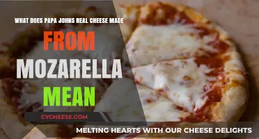 Papa John's Real Cheese: Unveiling the Mozzarella Mystery