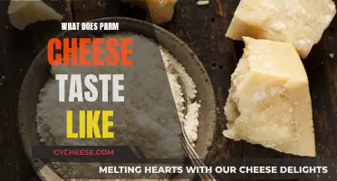 Parm Cheese: Salty, Tangy, and Complex