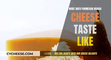 Parmesan Asiago Cheese: A Flavorful Blend of Italy