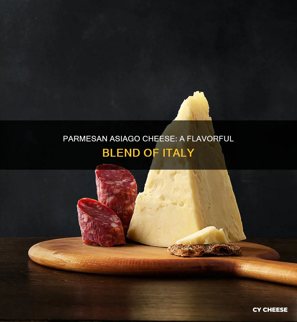 what does parmesan asiago cheese taste like