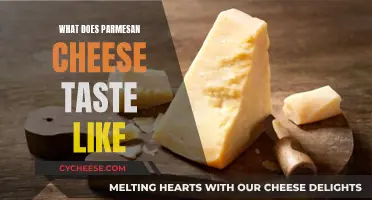 Parmesan Cheese: Salty, Savory, and Umami Taste Experience