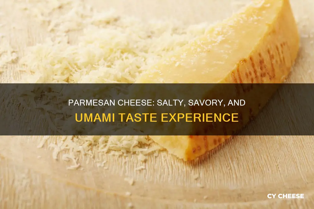 what does parmesan cheese taste like