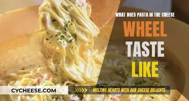 Cheese Wheel Pasta: A Tasty Adventure in Every Bite