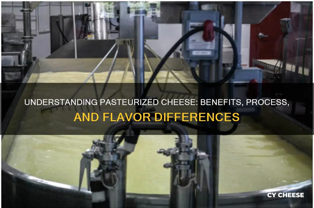 what does pasteuriezed cheese