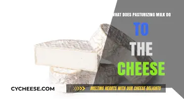 How Pasteurizing Milk Transforms Cheese Flavor, Texture, and Safety