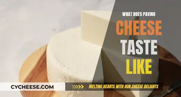 Taste Test: Exploring the Flavor of Pavino Cheese