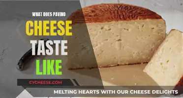 The Unique Flavor of Pavino Cheese