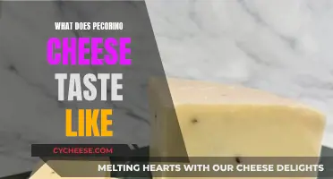 Pecorino Cheese: Salty, Tangy, and Sharp