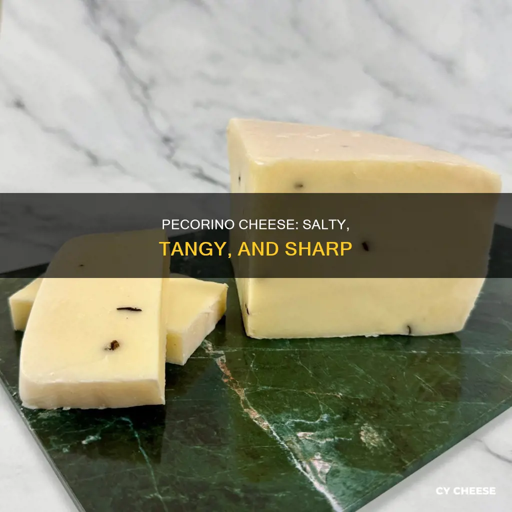 what does pecorino cheese taste like