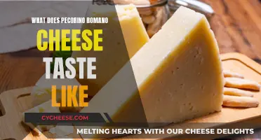 Pecorino Romano Cheese: Salty, Sharp, and Complex Flavor
