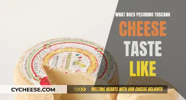 Pecorino Toscano Cheese: A Taste of Tuscany's Sheep's Milk