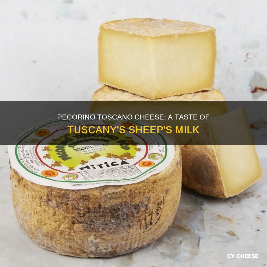 what does pecorino toscano cheese taste like