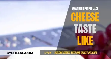 Pepper Jack Cheese: A Spicy, Savory Adventure