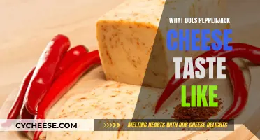 A Spicy Twist: Exploring the Flavor of Pepperjack Cheese