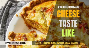 Pepperjack Cheese: A Spicy, Tangy Adventure for Your Taste Buds