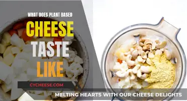 Plant-Based Cheese: Taste and Flavor Experience