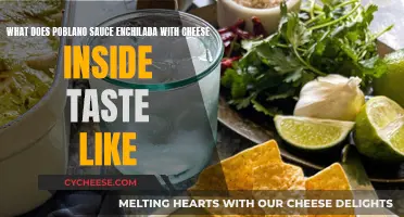 Cheesy Poblano Enchilada: A Spicy, Tangy, and Creamy Adventure