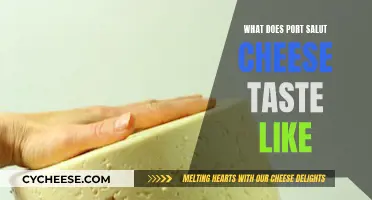 Port Salut Cheese: A Mild, Nutty Taste Experience