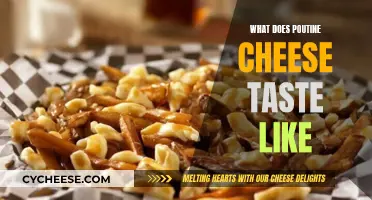 Tasty Poutine: Exploring the Cheesy Delight