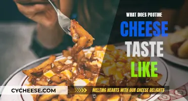 Poutine Cheese: The Ultimate Taste Experience