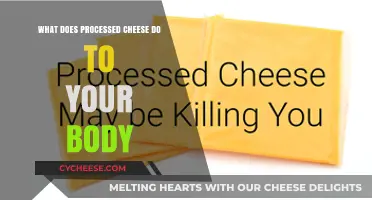 Processed Cheese: Uncovering Its Surprising Impact on Your Body's Health