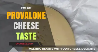 Exploring Provolone Cheese: Flavor Profile, Texture, and Culinary Uses