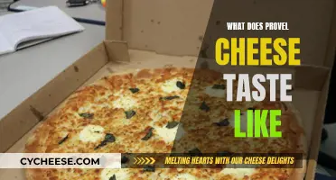 The Unique Taste of Provel Cheese: A Review