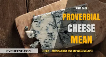 Unraveling the Mystery: What Does 'Proverbial Cheese' Really Mean?