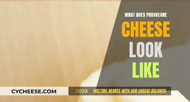 Provolone Cheese: Appearance, Texture, and Color Guide