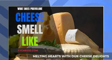 The Pungent Provolone: A Cheesy Aroma Adventure