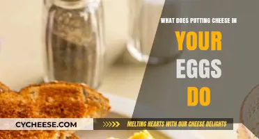 The Science Behind Cheesy Eggs