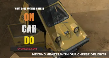 Cheese on Cars: An Odd Trend Explained