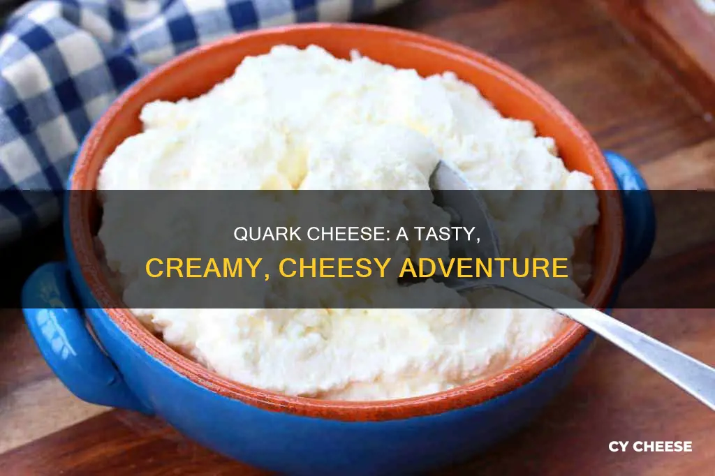 what does quark cheese taste like