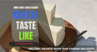 Queso Blanco: Creamy, Mild, and Versatile Mexican Cheese