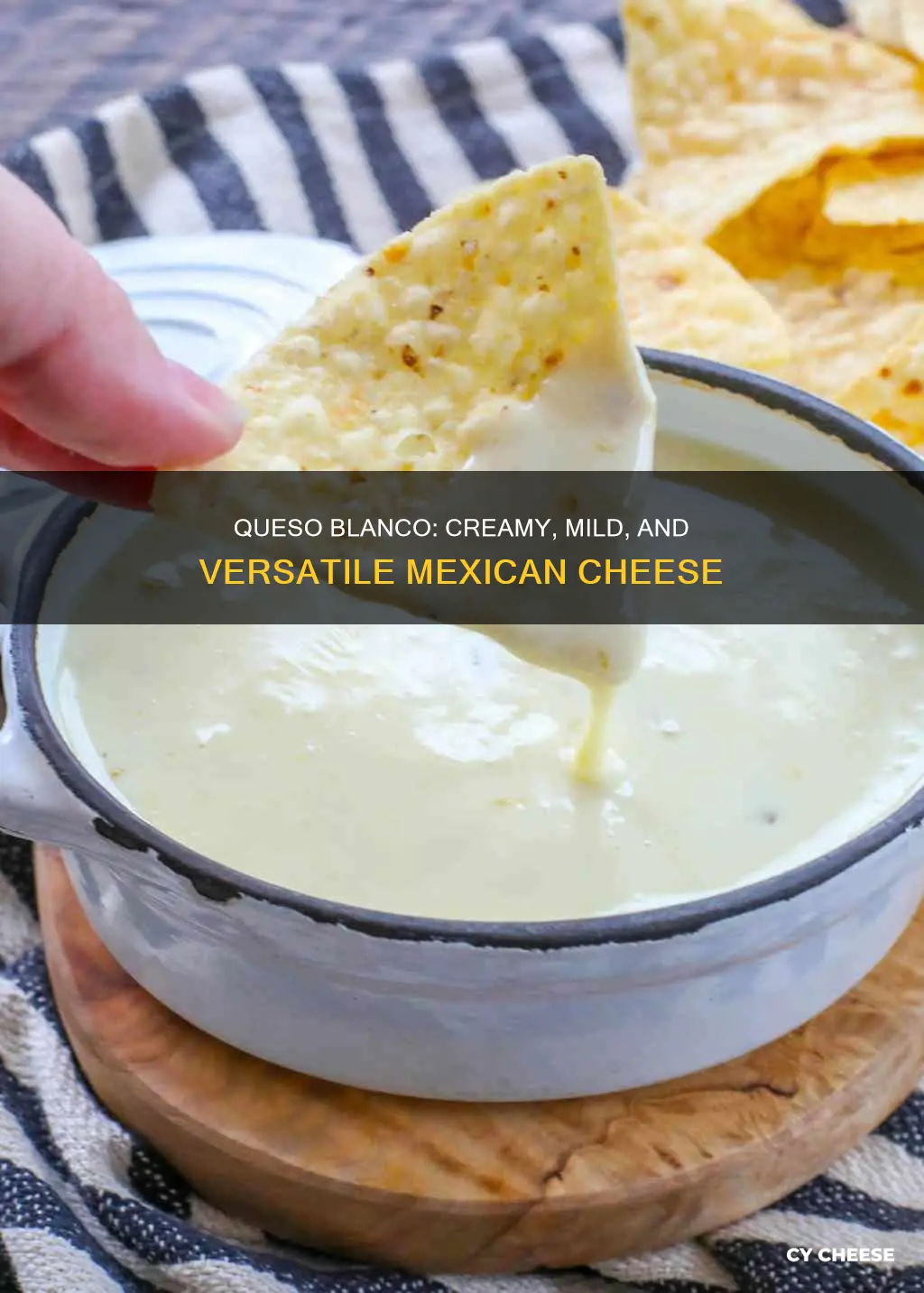 what does queso blanco cheese taste like