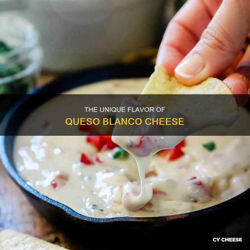what does queso blanco cheese taste like