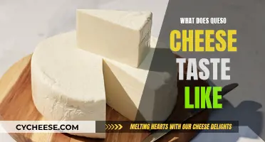 A Tasty Adventure: Exploring the Flavor of Queso Cheese