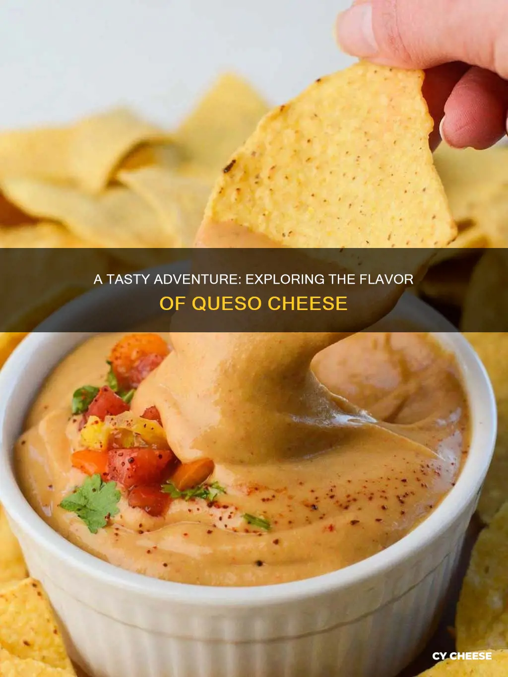 what does queso cheese taste like