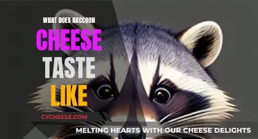 Tasty Treat: A Taste Test of Raccoon Cheese