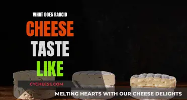 Rancid Cheese: The Taste of Disaster