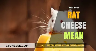 Unraveling the Mystery: What Does Rat Cheese Really Mean?