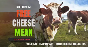 RBST-Free Cheese: What Does It Mean?