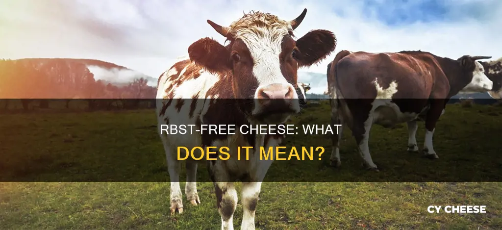 what does rbst free cheese mean
