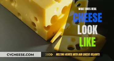 Real Cheese: What's the Visual Difference?