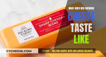 Tasting the Rich, Earthy Flavors of Red Cheddar