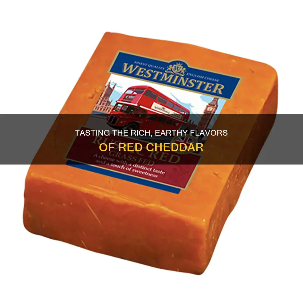 what does red cheddar cheese taste like