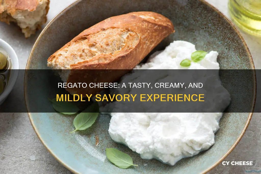 what does regato cheese taste like