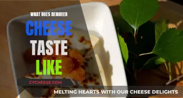 Reindeer Cheese: Unique Taste of the Arctic Circle